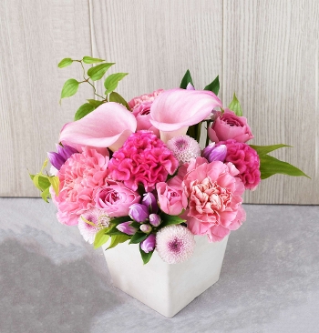 G�R �ނ�