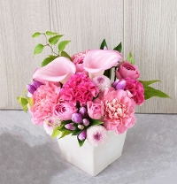 G�R �ނ�