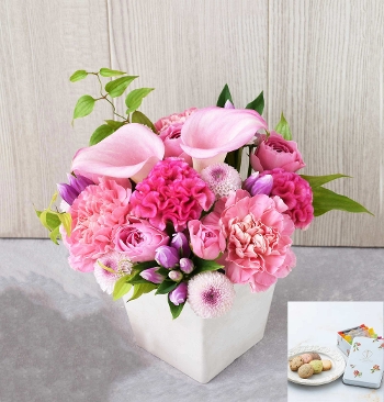 G�S ���َq�{�ނ�