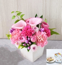 G�S ���َq�{�ނ�