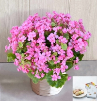 G�W ���َq�{���u�~�[������