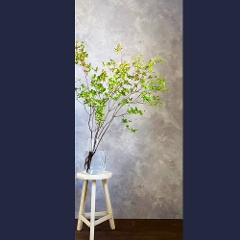 �h�E�_���c�c�W�T�{�i�}���́j��70�`75����