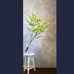 �h�E�_���c�c�W�R�{�i�}���́j��70�`75����