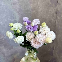�g���R�L�L���E�~�b�N�X3�{