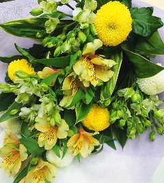 �i�ԑ��j���Ԃ̑z���o