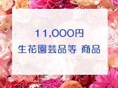 11,000~lbgρiNWbgJ[hj