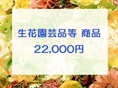 22,000~lbgρiNWbgJ[hj