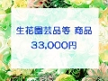 33,000~lbgρiNWbgJ[hj