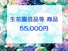 55,000~lbgρiNWbgJ[hj