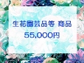 55,000~lbgρiNWbgJ[hj