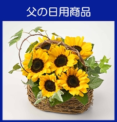 e-PЂ܂肢ςoXPbg