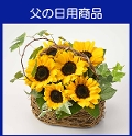 e-PЂ܂肢ςoXPbg