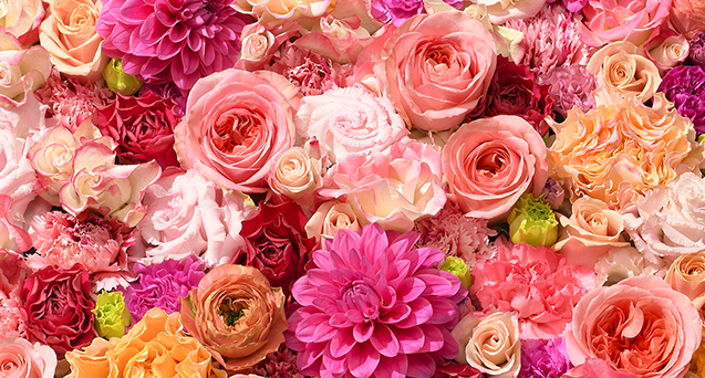 フラワーショップ京王ネットショップ